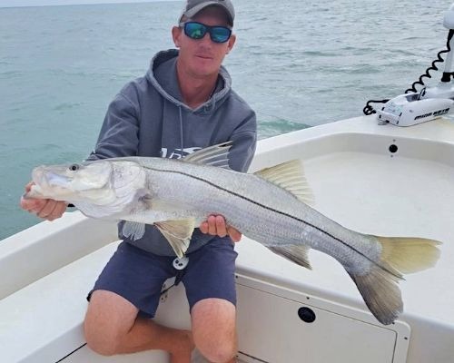 Virtual Tournament Overview